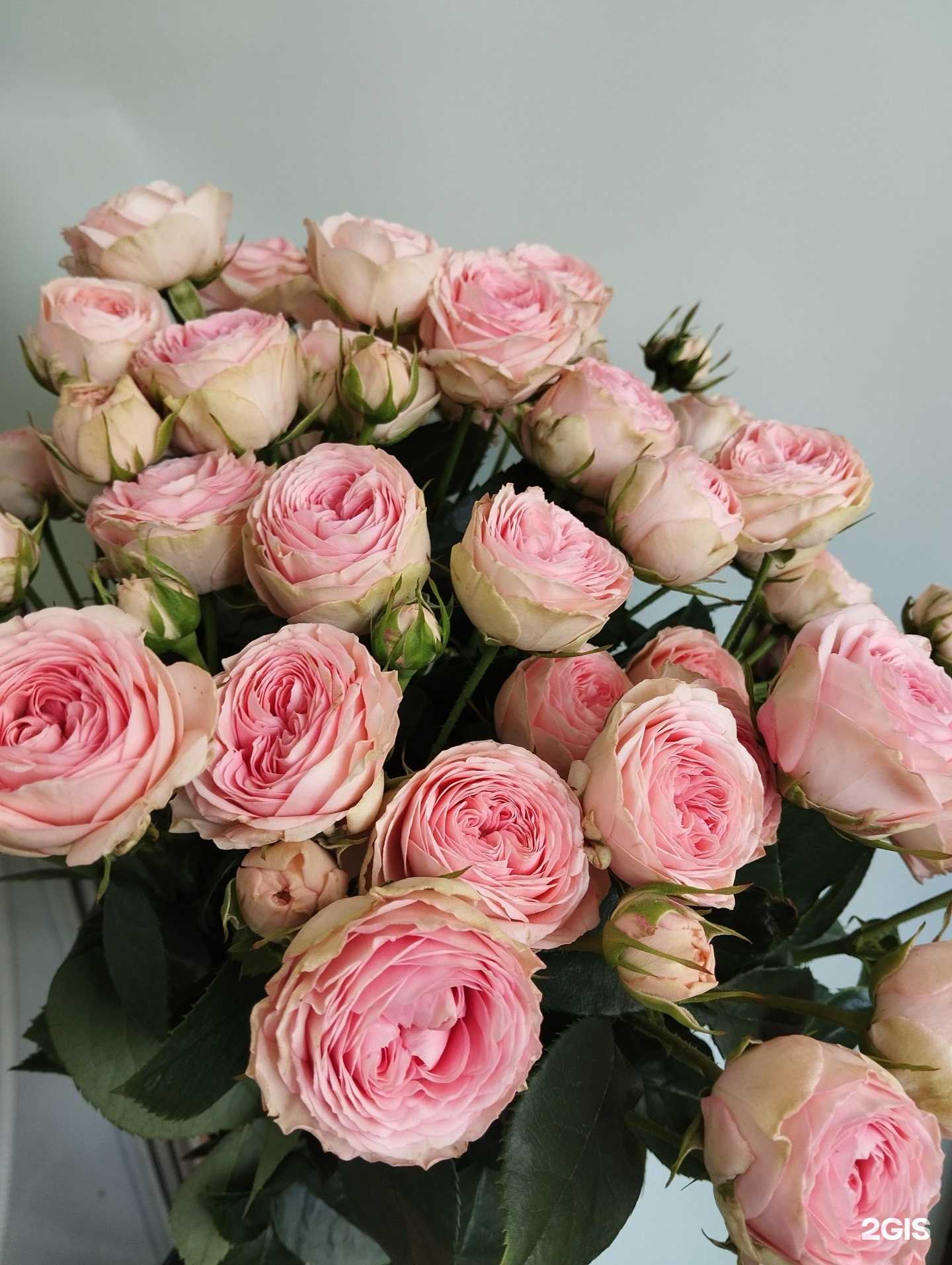 Отзывы на компанию Здесь букет в Краснодаре c фото