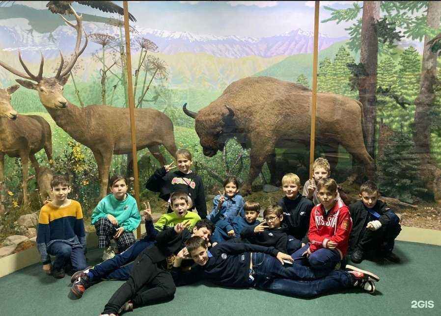 Отзывы на компанию Top IT School в г. Тольятти c фото