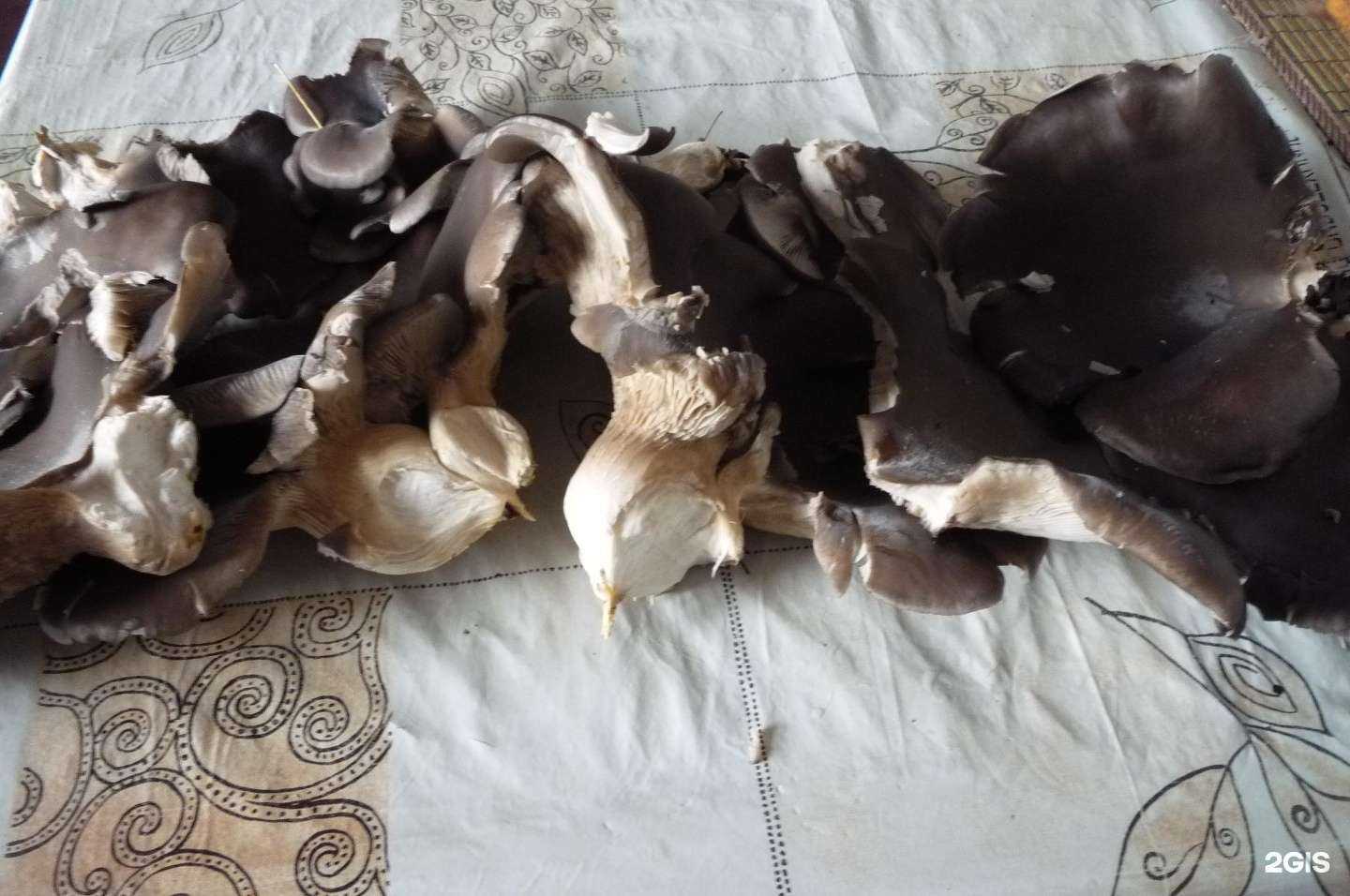 Отзывы на компанию Воронеж в Воронеже c фото