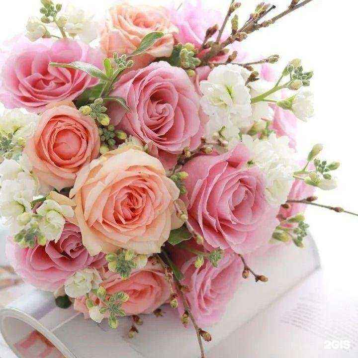 Отзывы на компанию Салон красоты в Батайске c фото