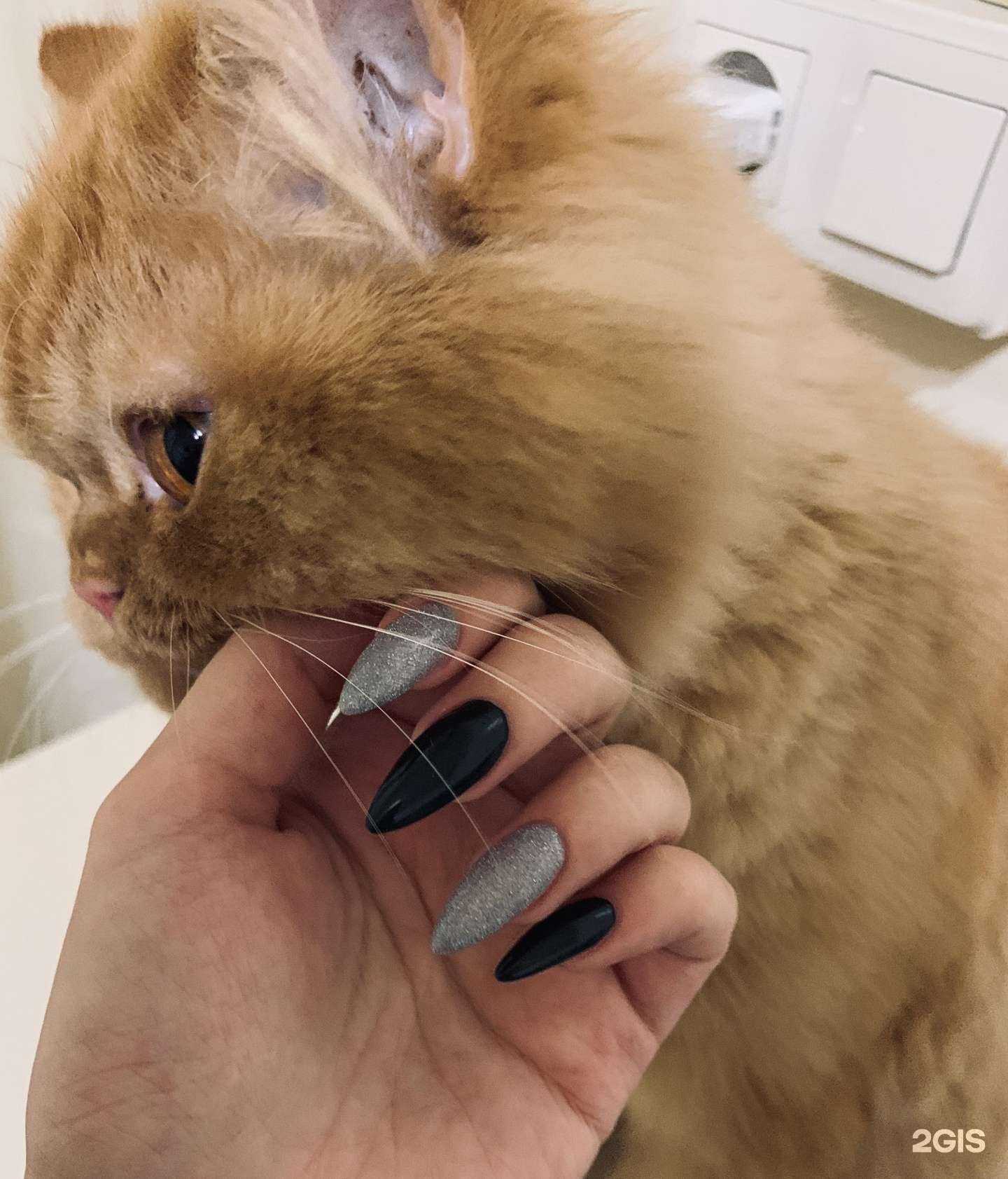 Отзывы на компанию The beauty room в Анапе c фото