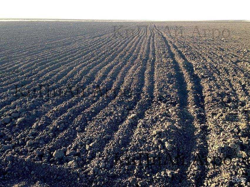 Отзывы на компанию KPI agro в Чебоксарах c фото