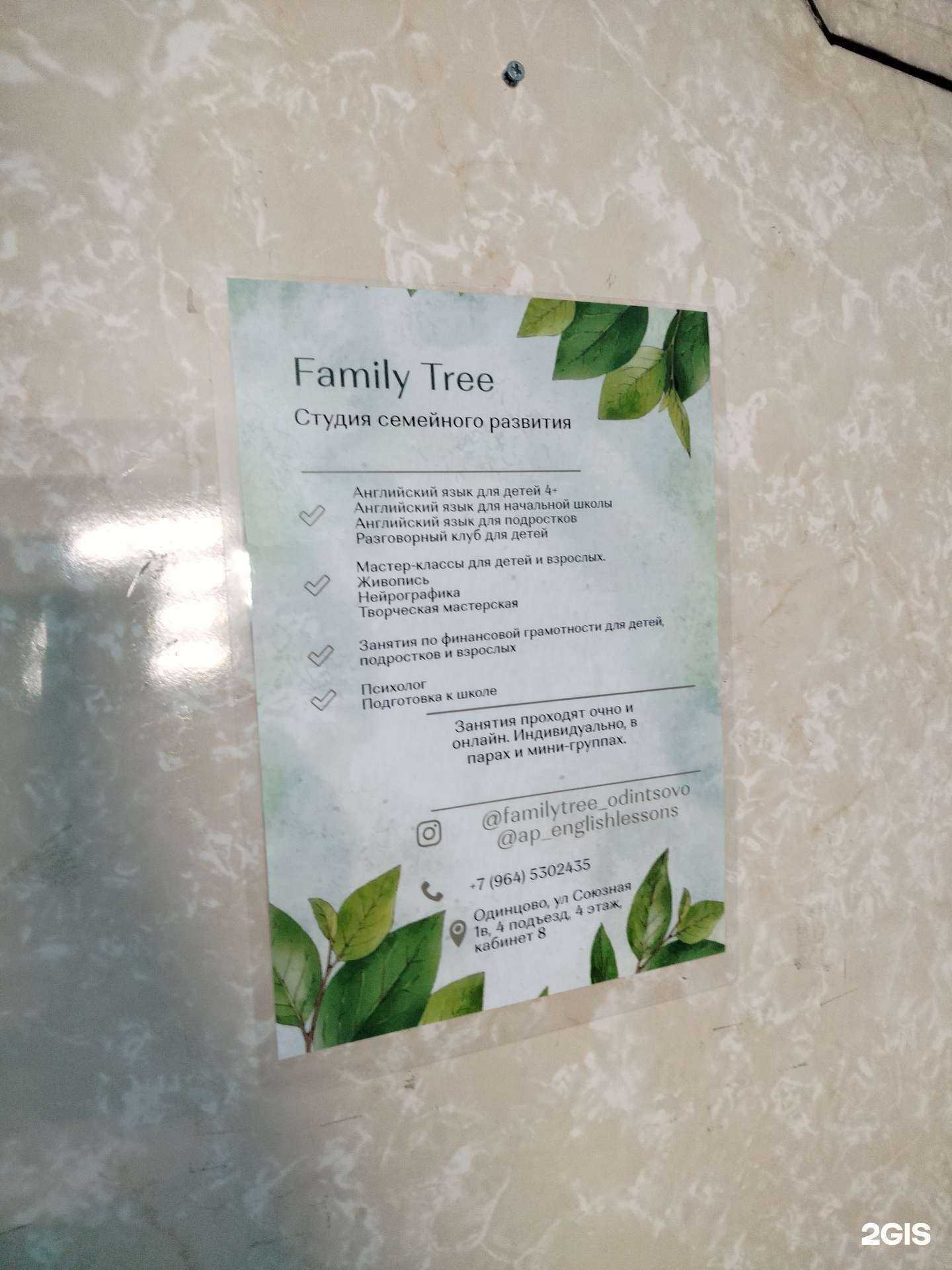 Отзывы на компанию Family tree в Одинцове c фото