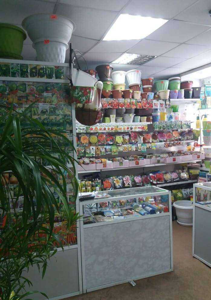 Отзывы на компанию Семена Чита в г. Чита c фото