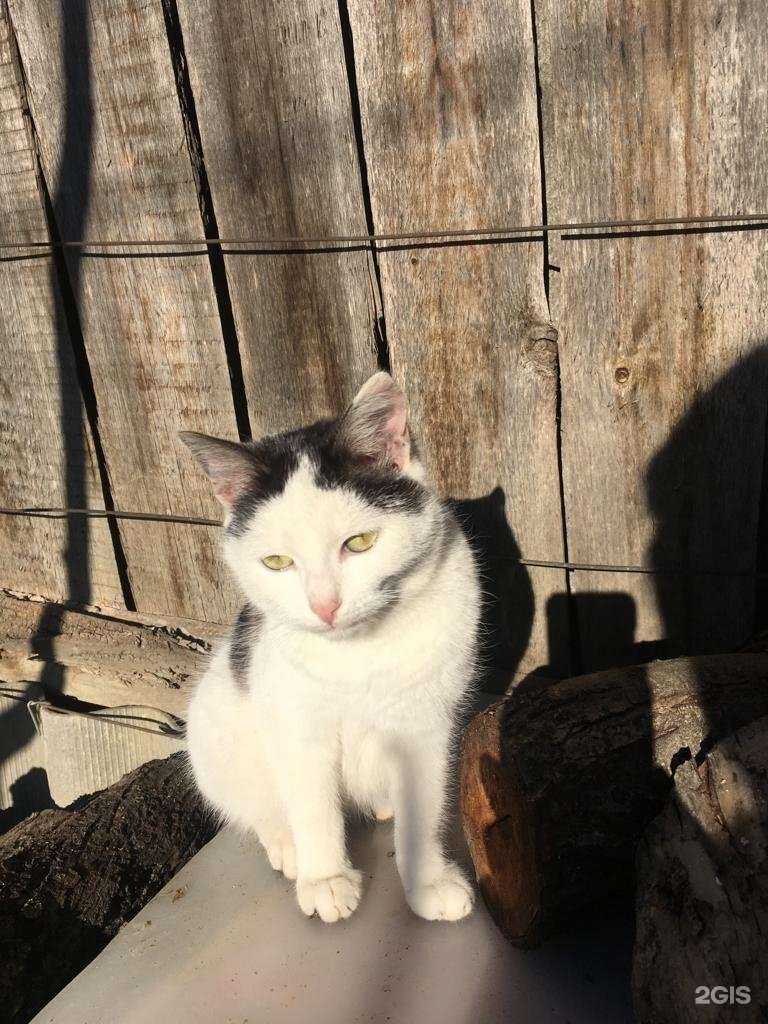 Отзывы на компанию Барон в Сочи c фото