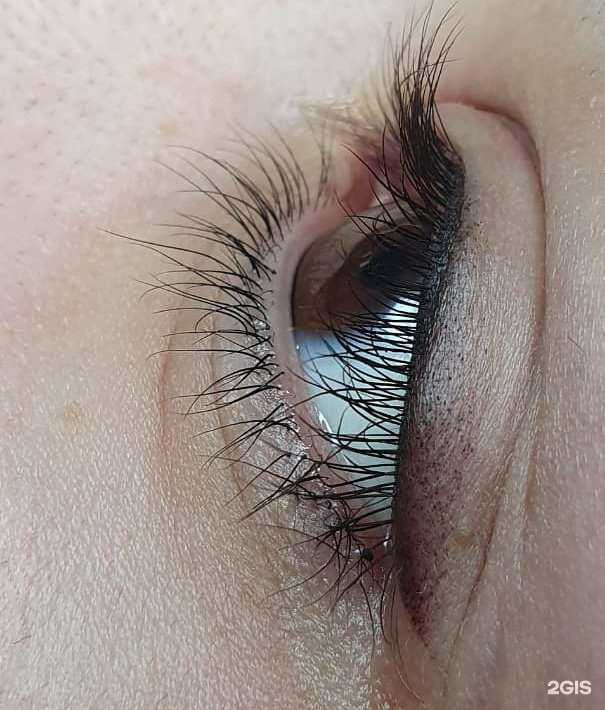 Отзывы на компанию Leel в Екатеринбурге c фото