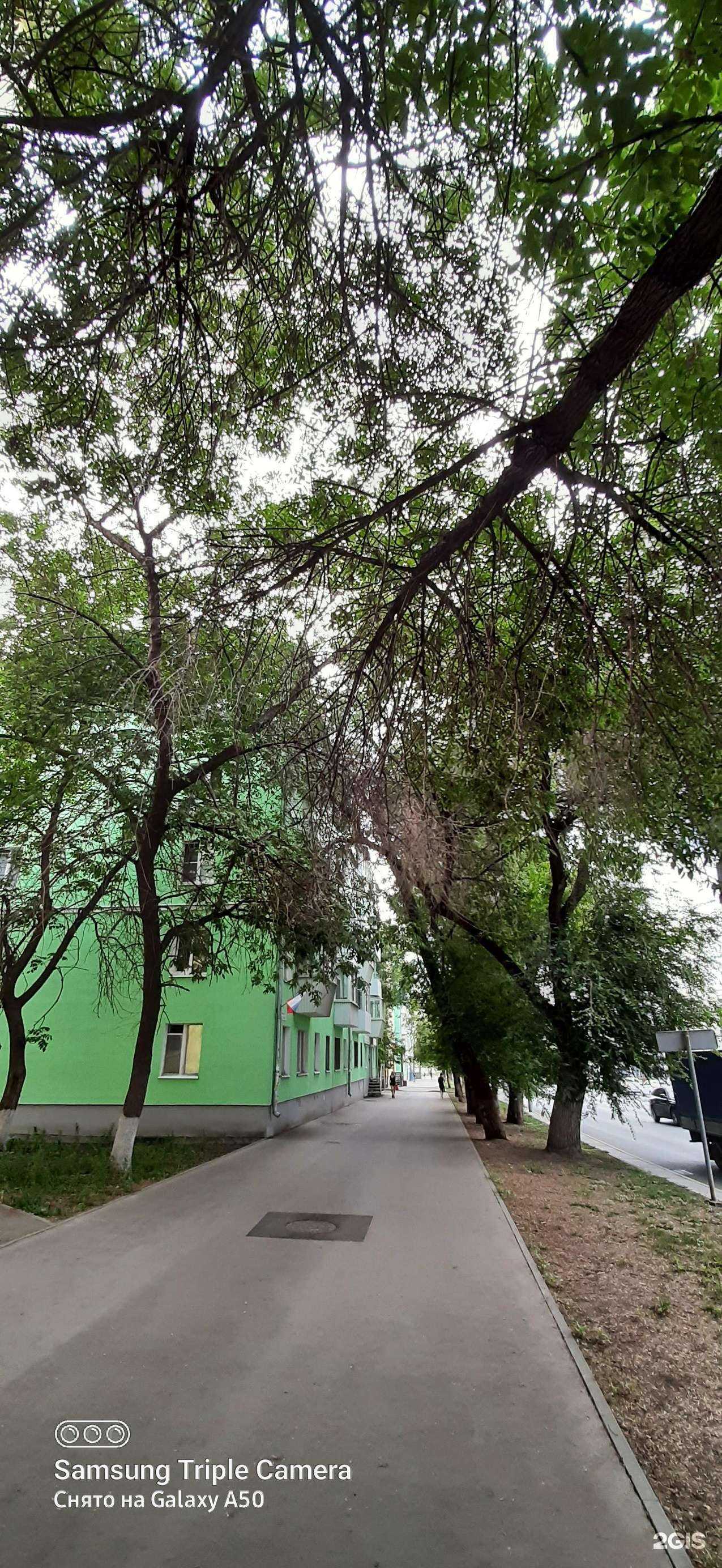 Отзывы на компанию Догма в Самаре c фото - фотография 2 из 2