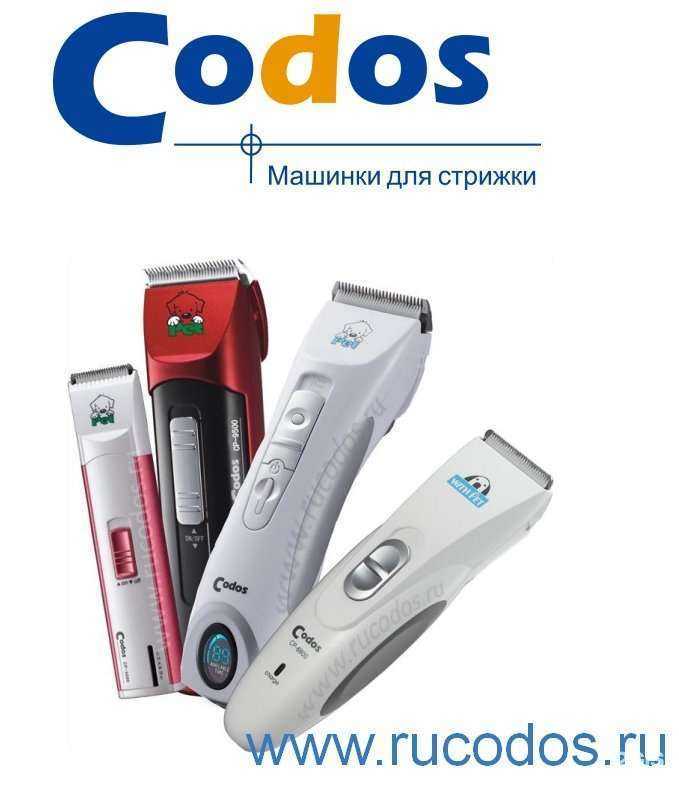 Отзывы на компанию PARADOGs в Екатеринбурге c фото