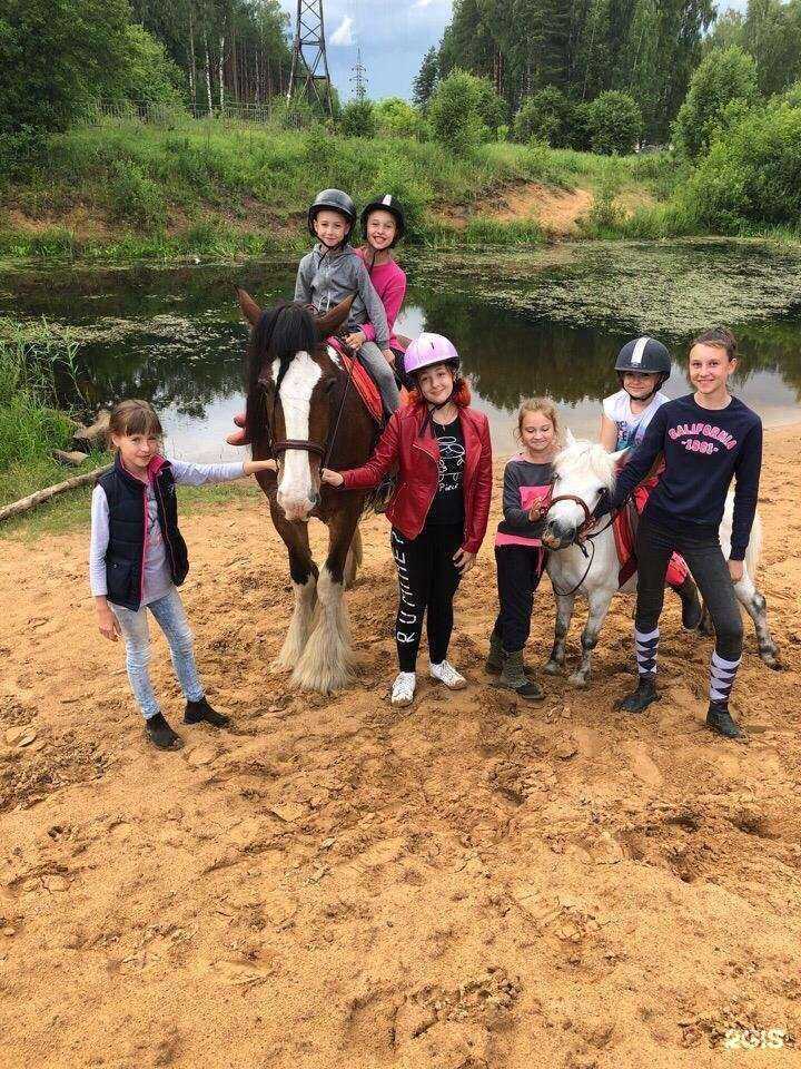 Отзывы на компанию Конный Парк в Ярославле c фото