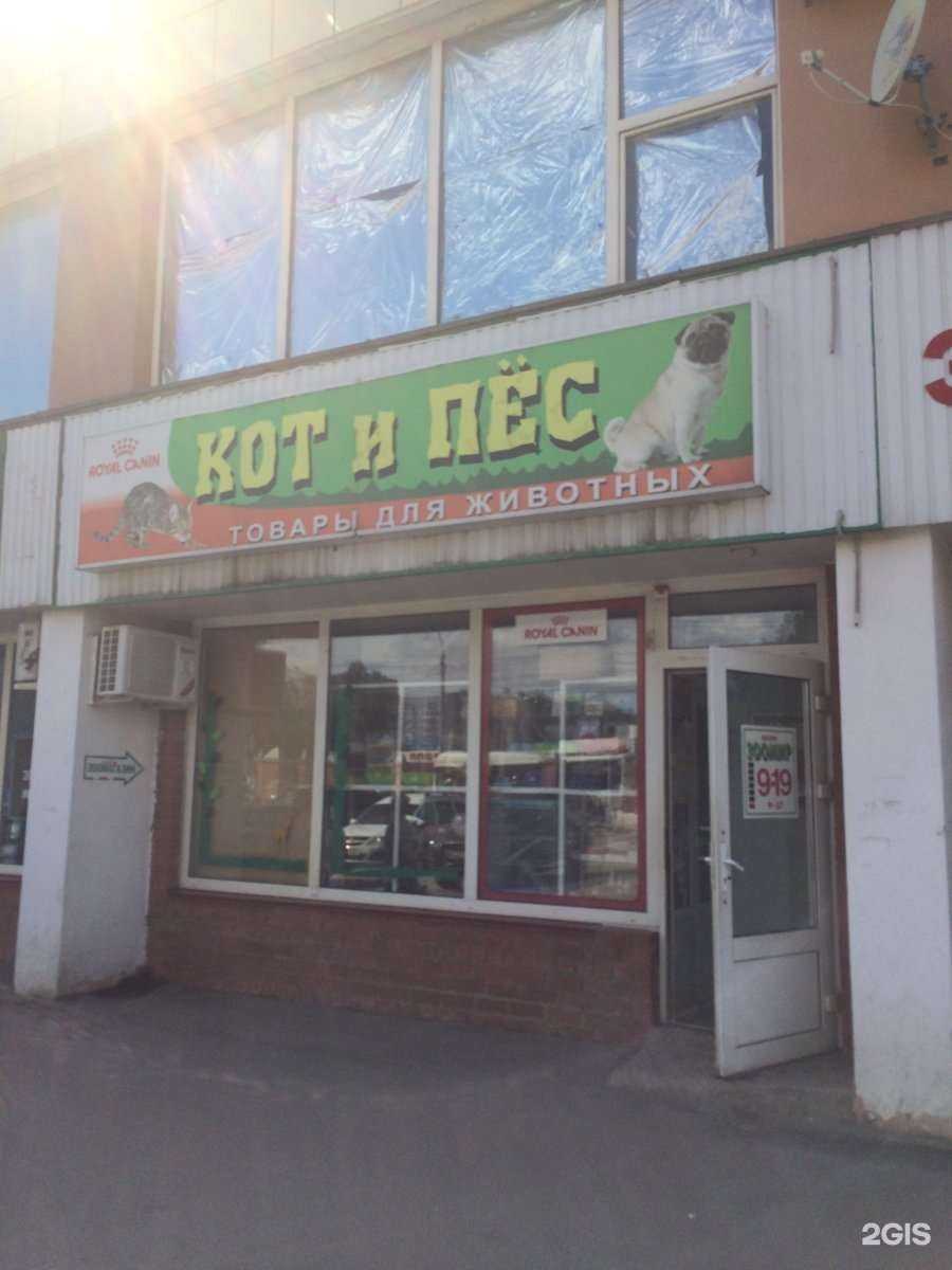 Отзывы на компанию Кот и пес в г. Липецк c фото