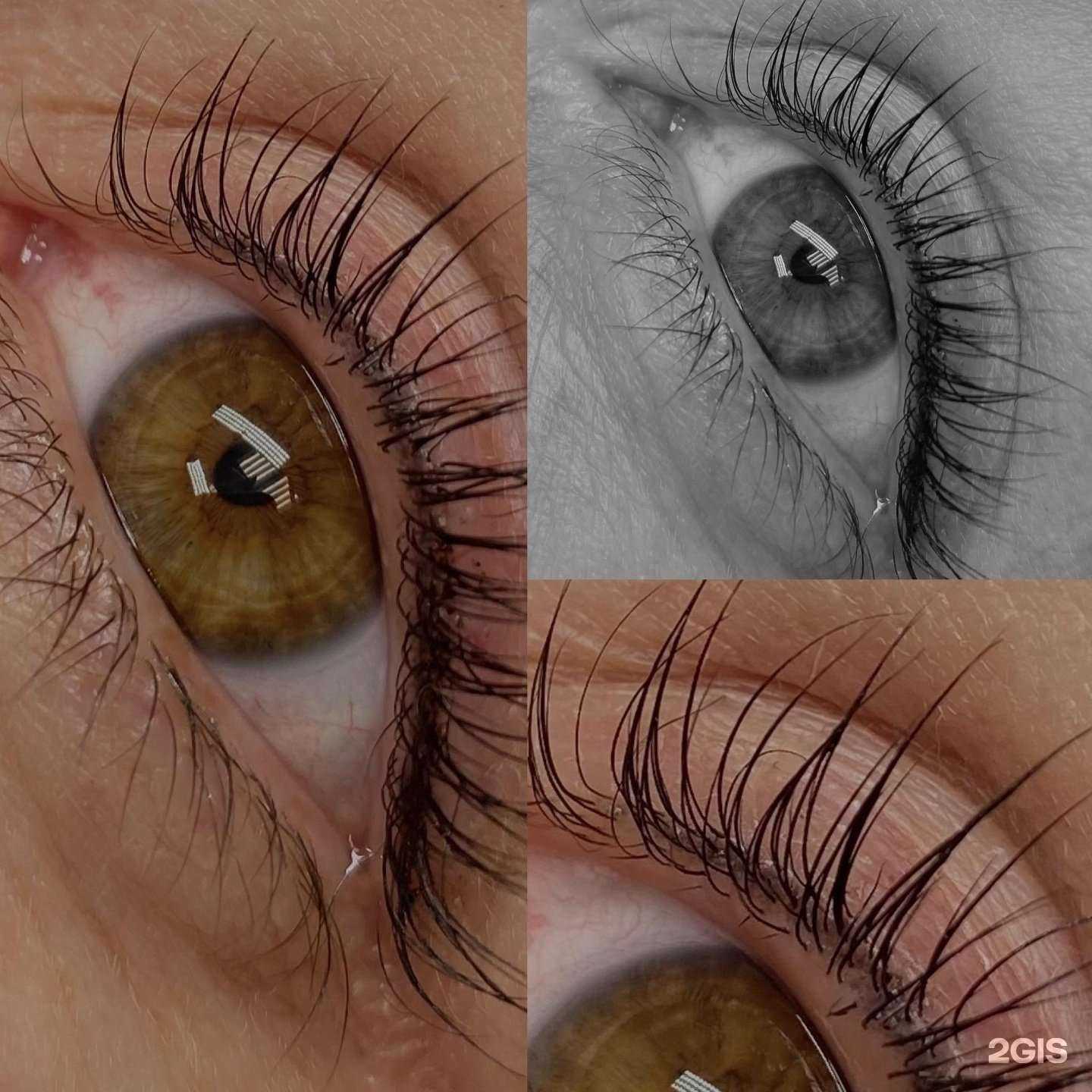 Отзывы на компанию Brow house в г. Южно-Сахалинск c фото