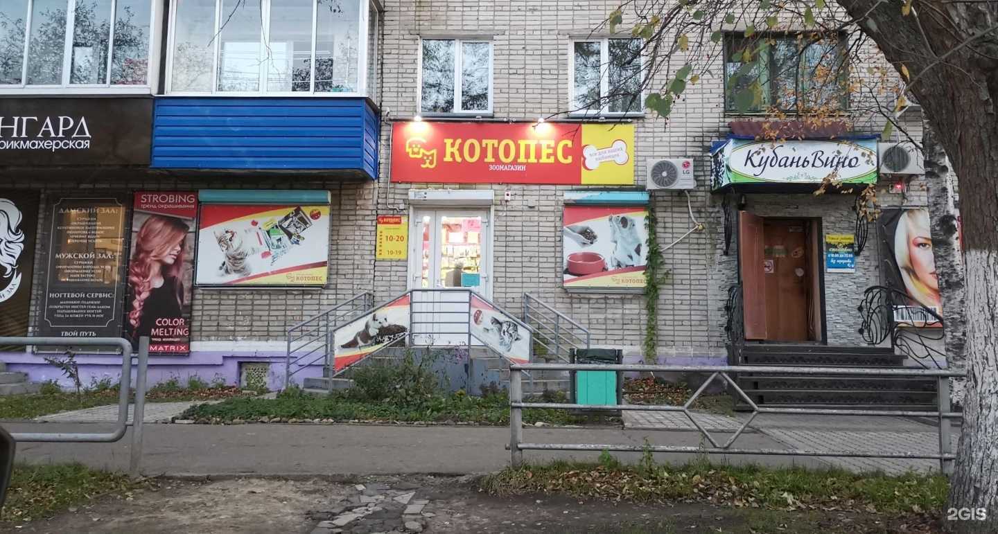 Отзывы на компанию Котопес в Комсомольске-на-Амуре c фото