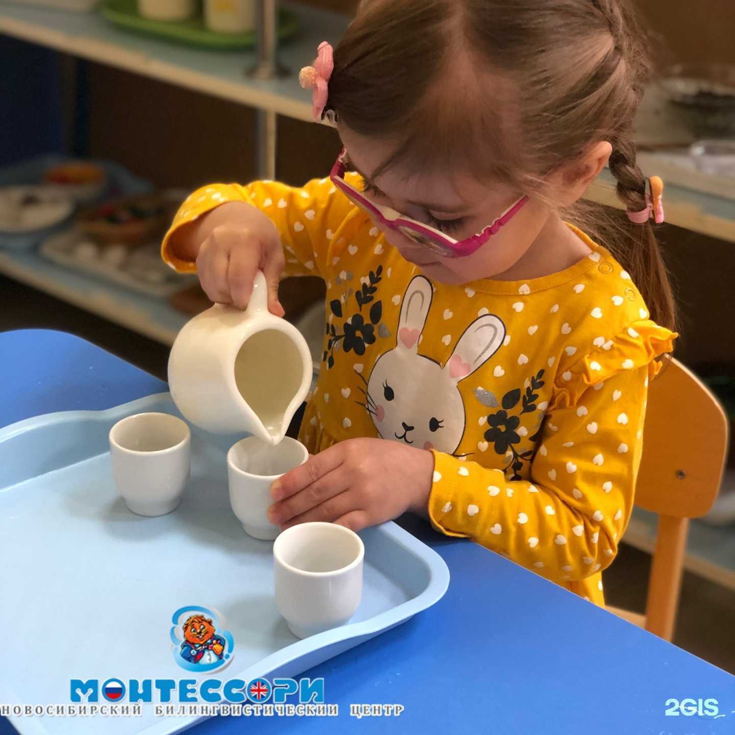 Отзывы на компанию Новосибирский билингвистический Монтессори-центр в г. Новосибирск c фото