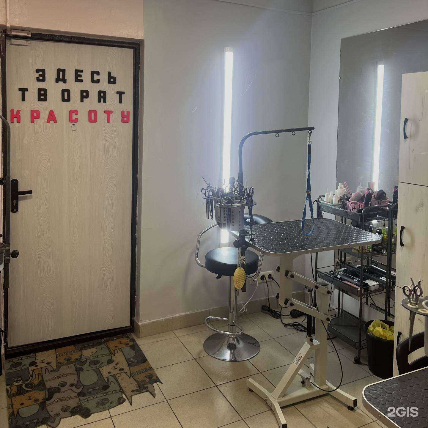 Отзывы на компанию ЛапУшки в г. Ижевск c фото