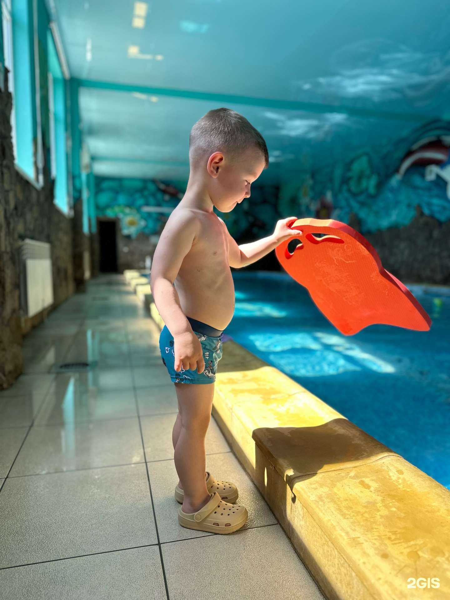 Отзывы на компанию Крейзи фрог в Краснодаре c фото