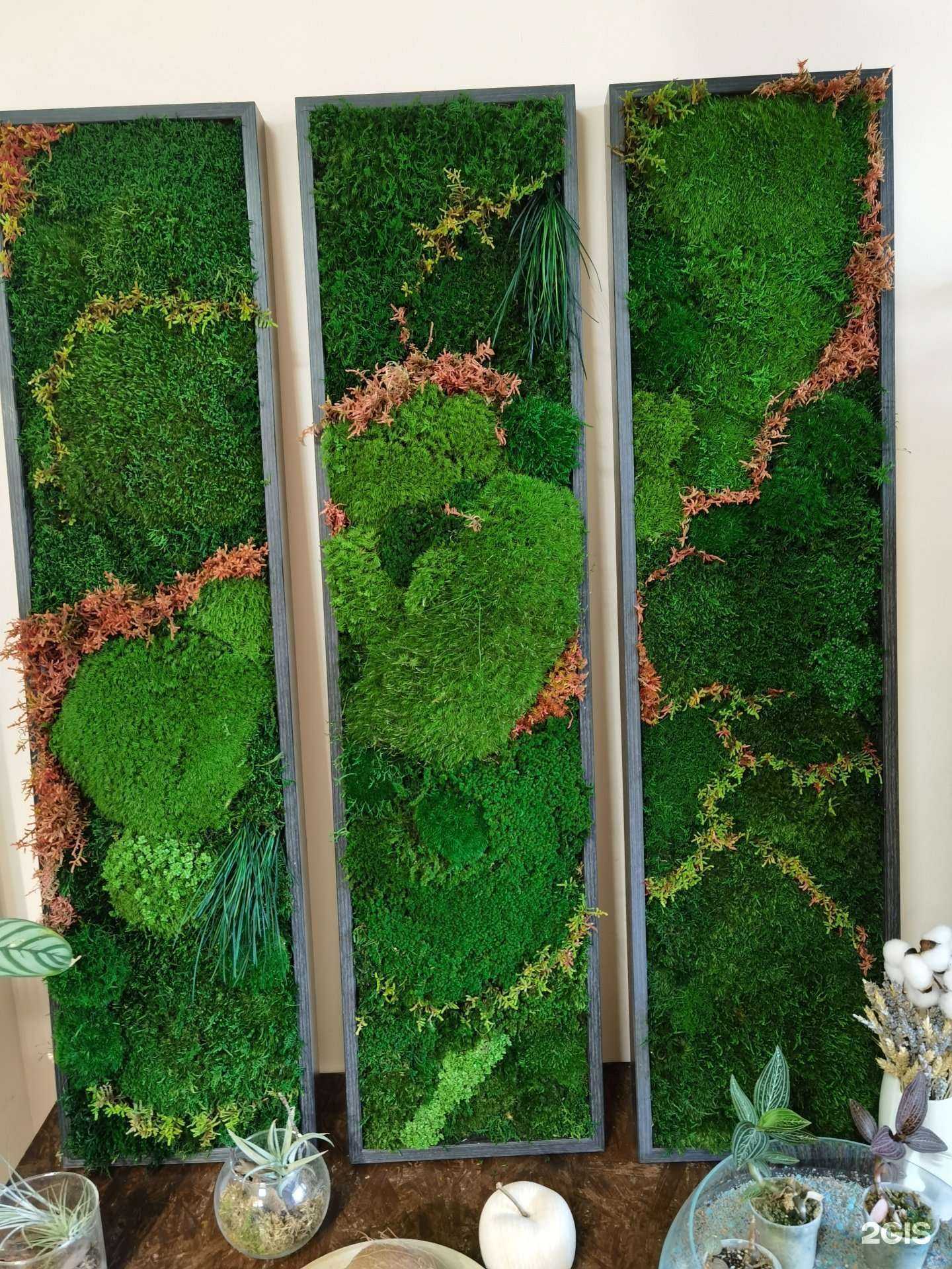 Отзывы на компанию Феерия в Барнауле c фото