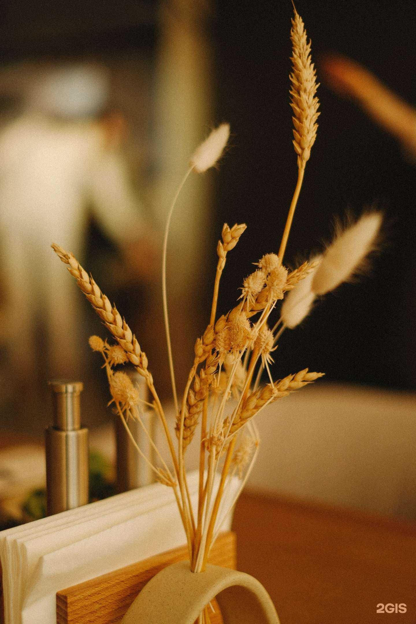 Отзывы на компанию На Земле в Новосибирске c фото