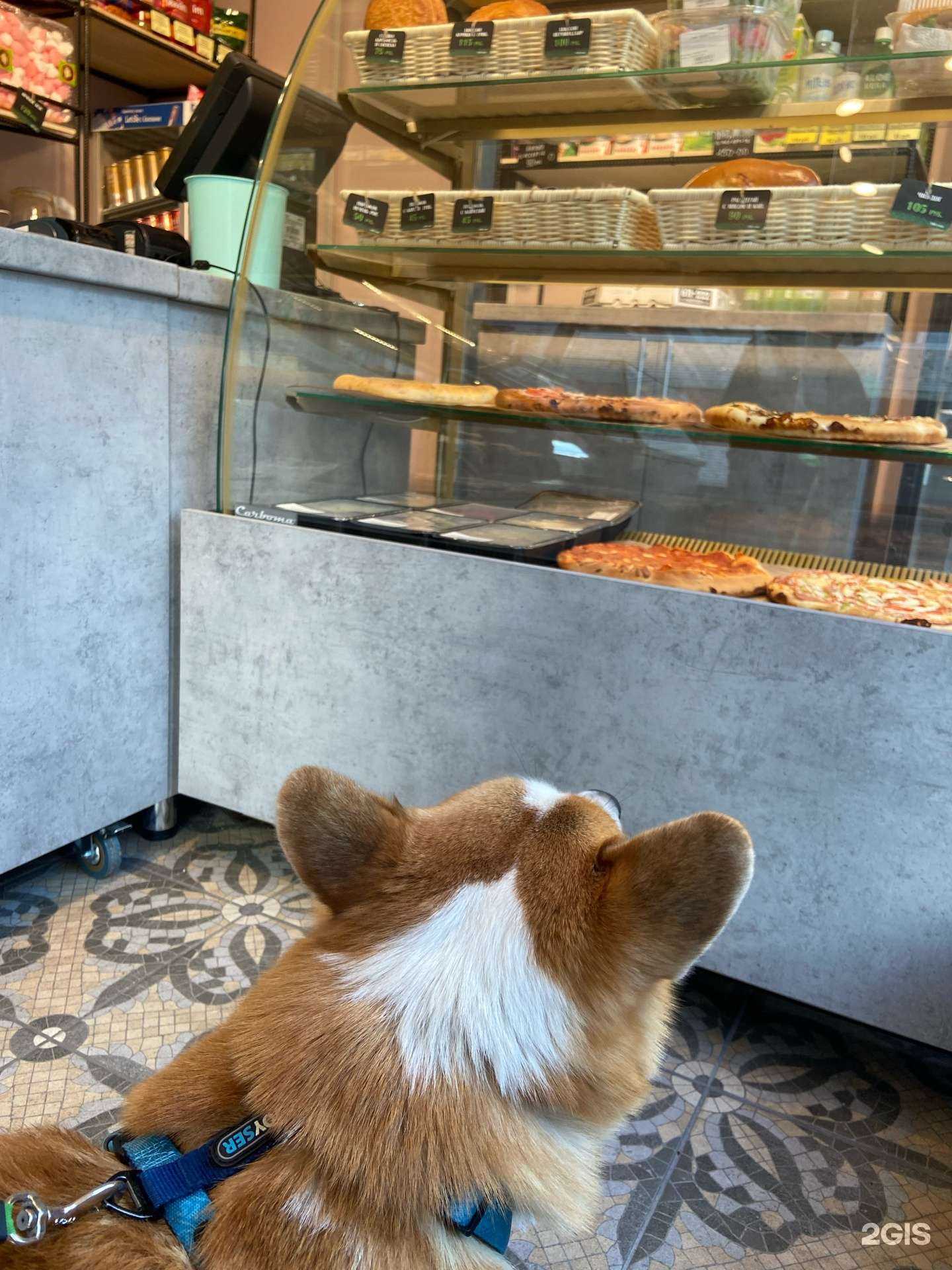 Отзывы на компанию Шарлотка Виорд в Хабаровске c фото