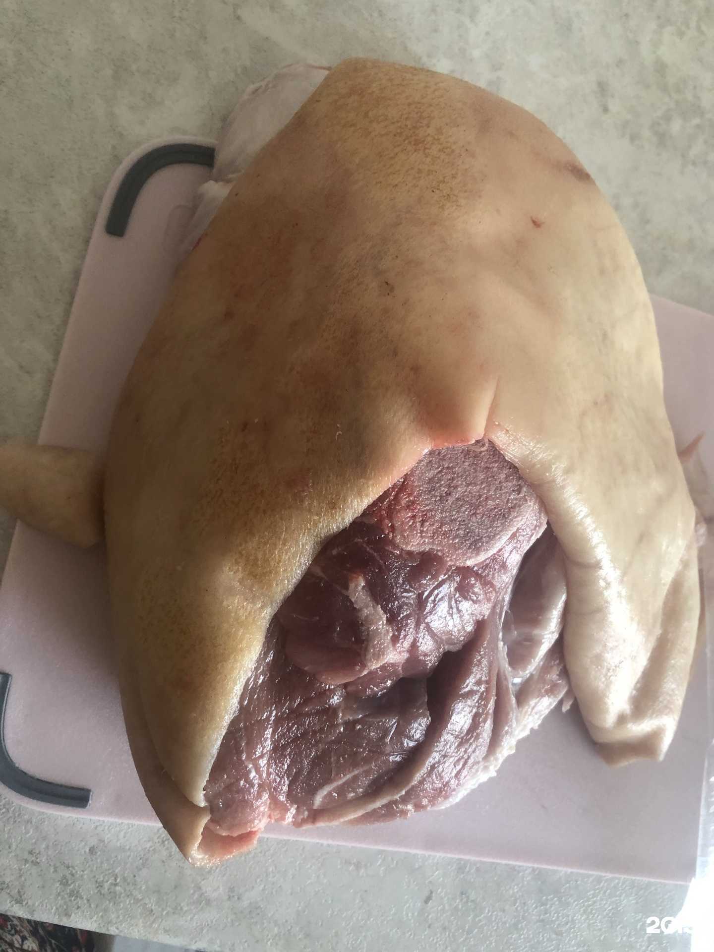 Отзывы на компанию Петрушка в г. Томск c фото