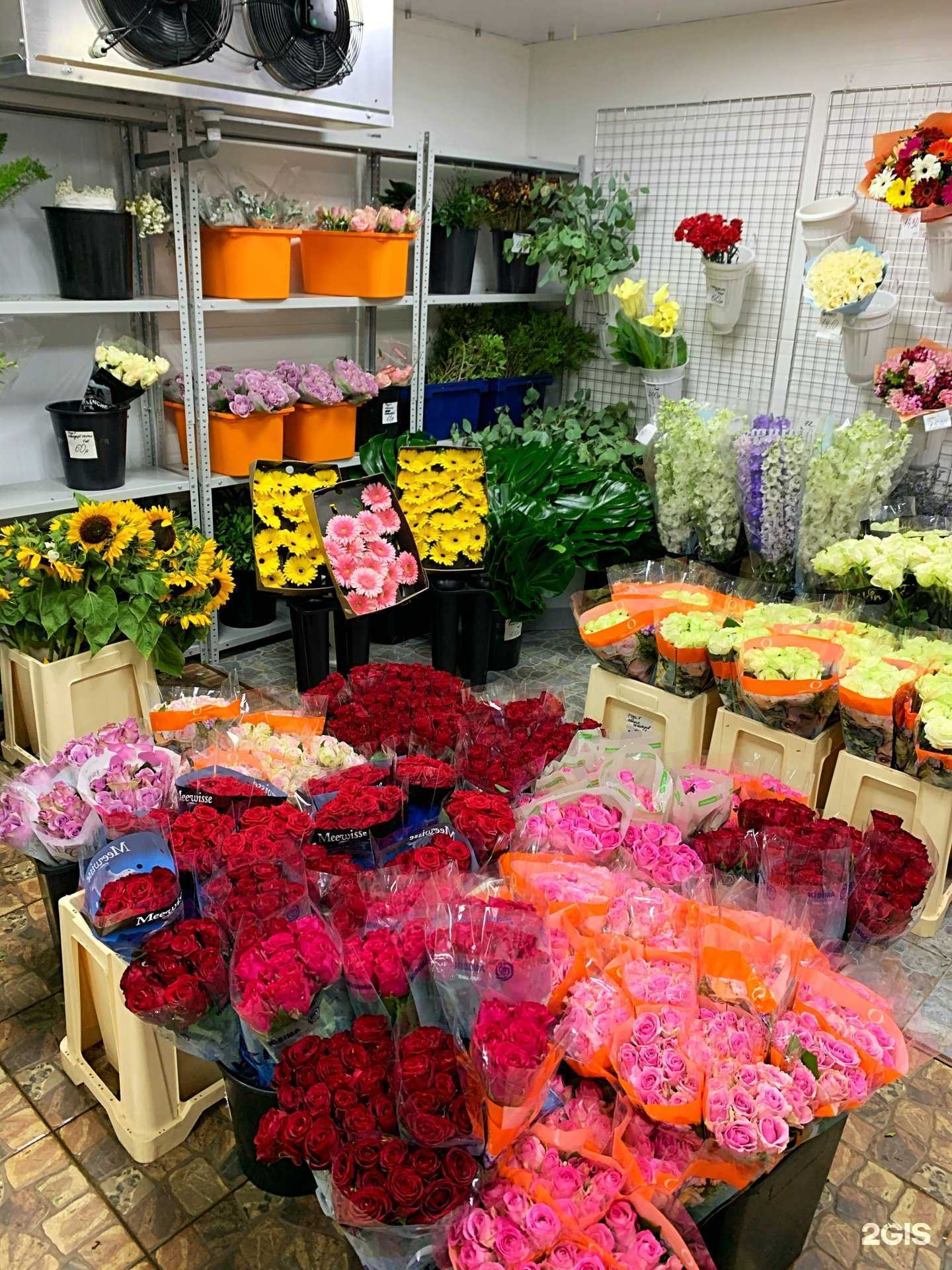 Отзывы на компанию Новые цветы в г. Казань c фото