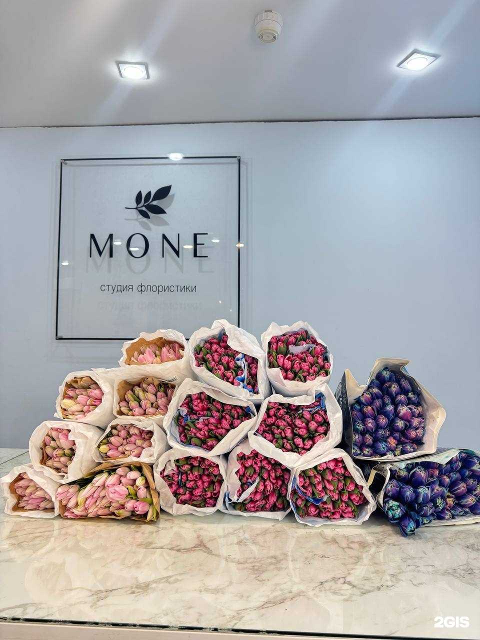 Отзывы на компанию Mone в Ижевске c фото