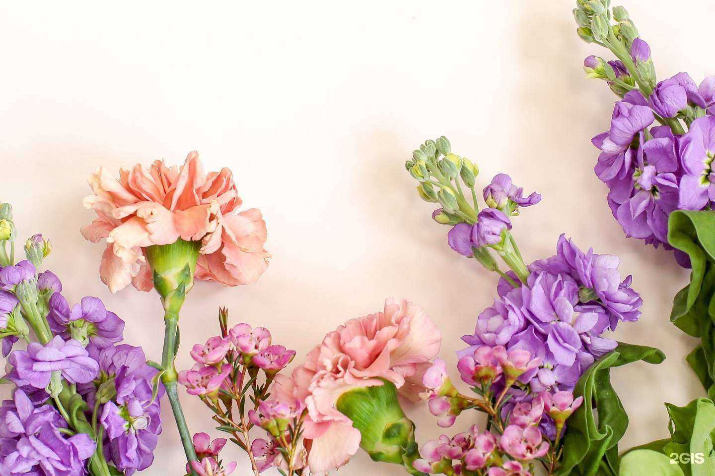 Отзывы на компанию Mon март в Красноярске c фото