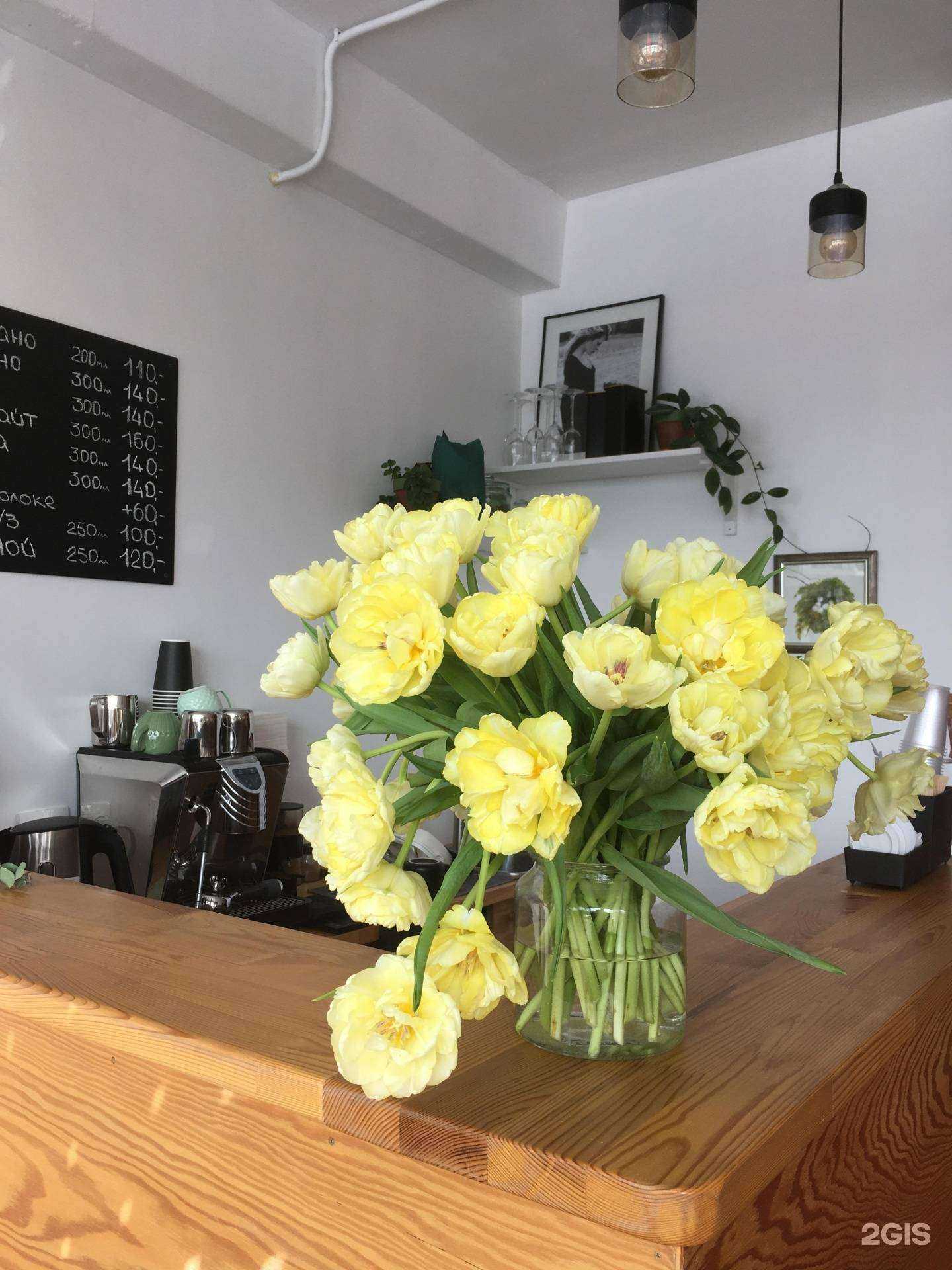 Отзывы на компанию Коко в г. Тольятти c фото