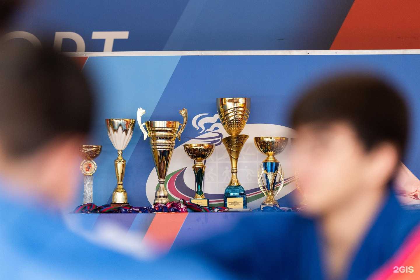 Отзывы на компанию Спортивная школа по самбо и дзюдо в Сочи c фото