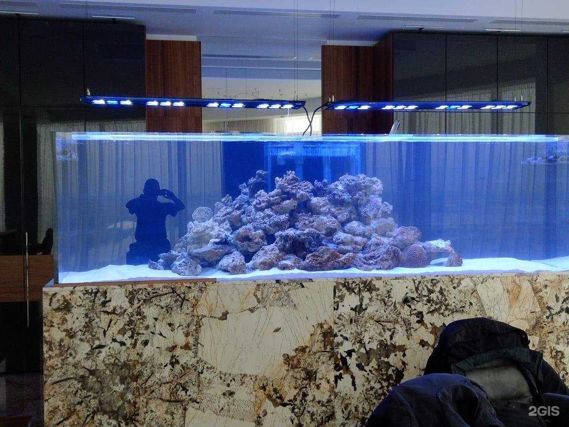 Отзывы на компанию Морской-аквариум36.рф в Воронеже c фото