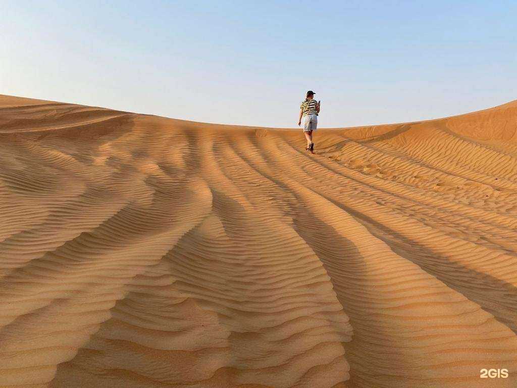 Отзывы на компанию Вегас в Хабаровске c фото