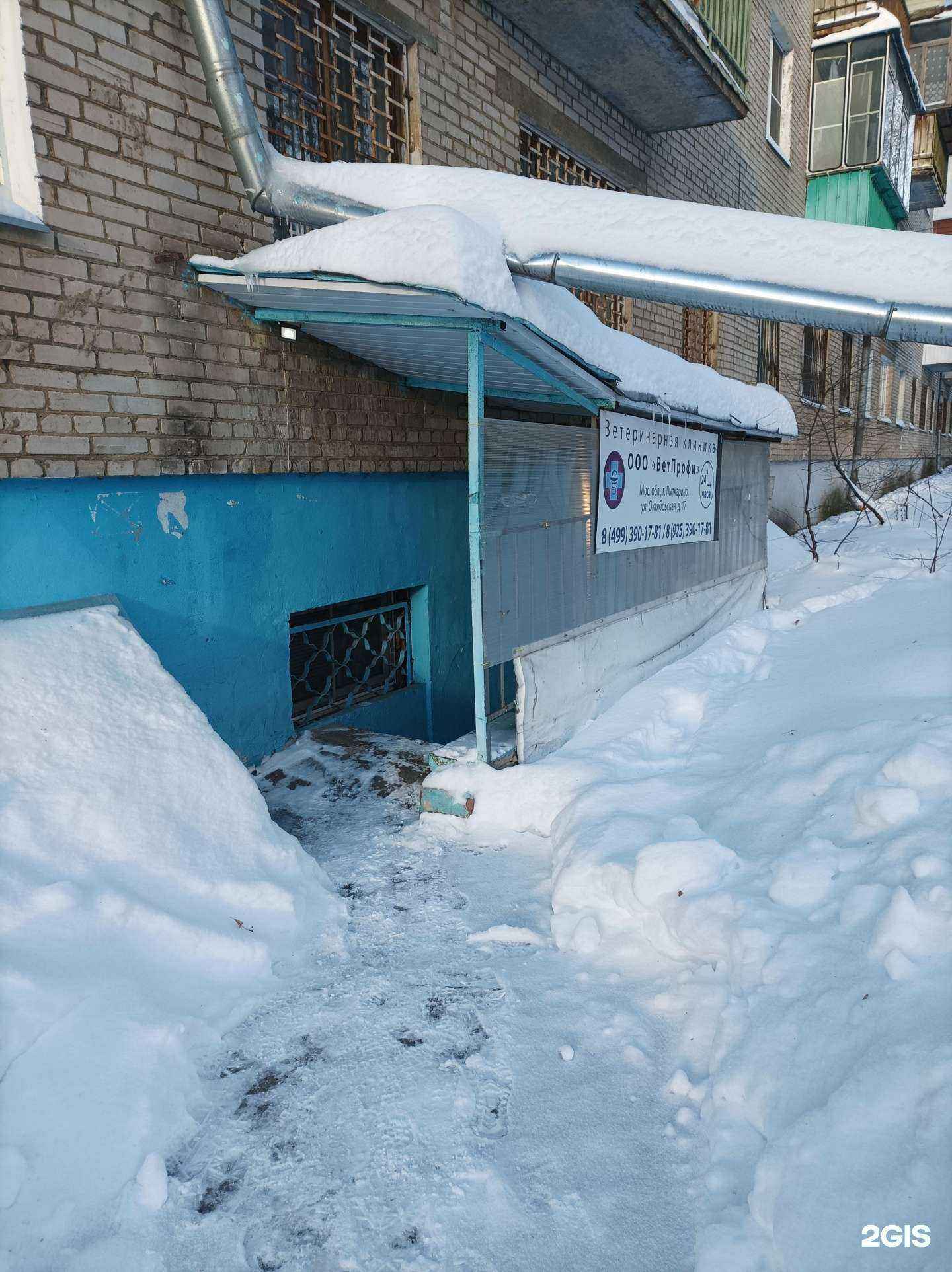 Отзывы на компанию ВетПрофи в г. Лыткарино c фото