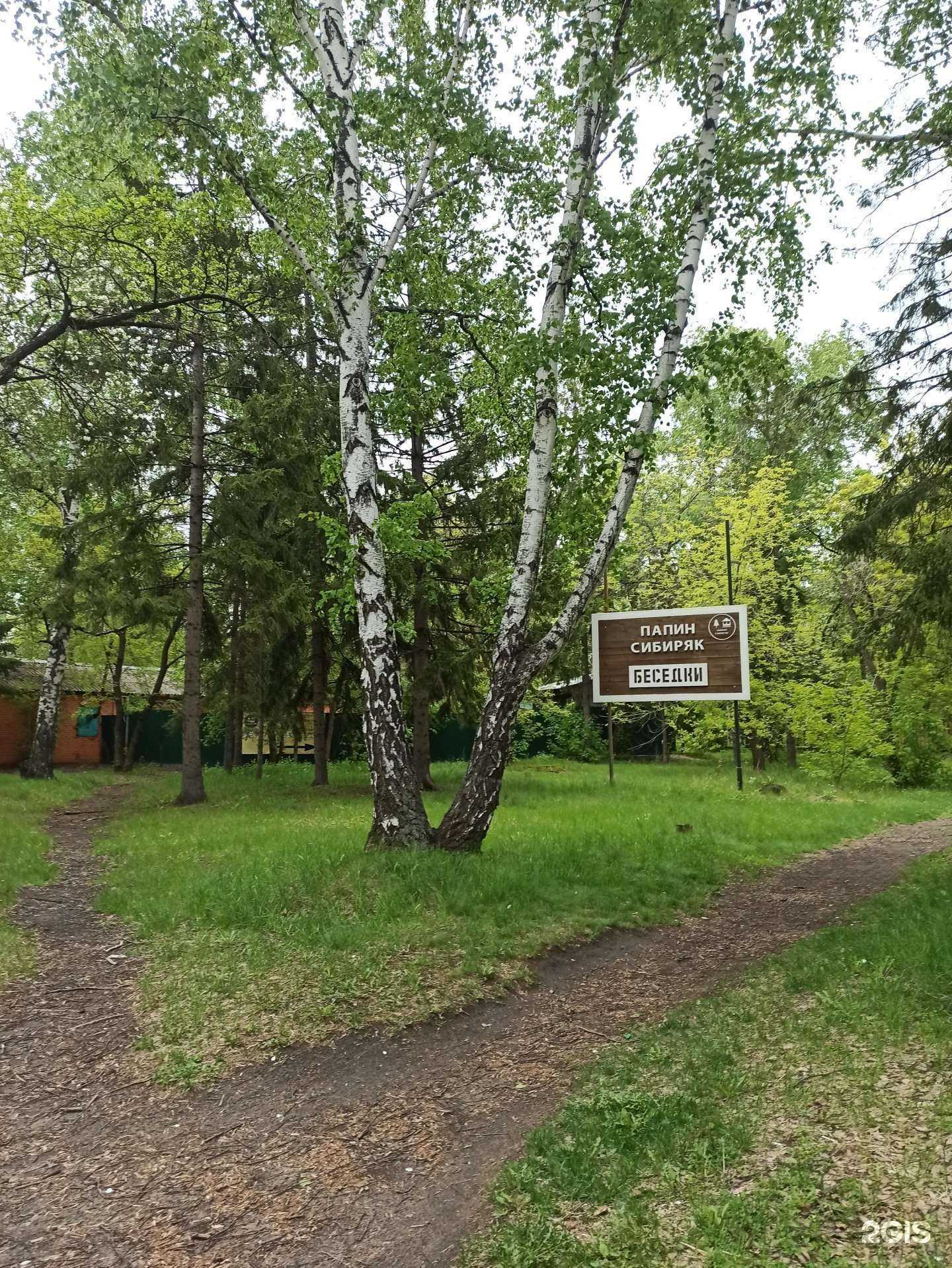 Отзывы на компанию Папин Сибиряк в Омске c фото - фотография 2 из 2