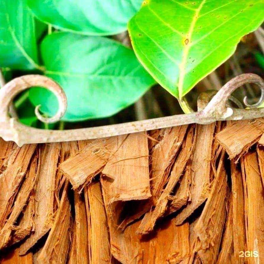 Отзывы на компанию Coral club в Новороссийске c фото