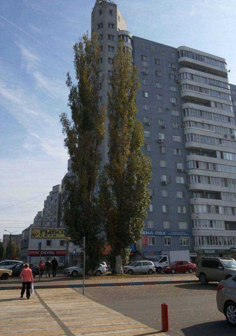 Отзывы на компанию Амулет в Воронеже c фото - фотография 2 из 2