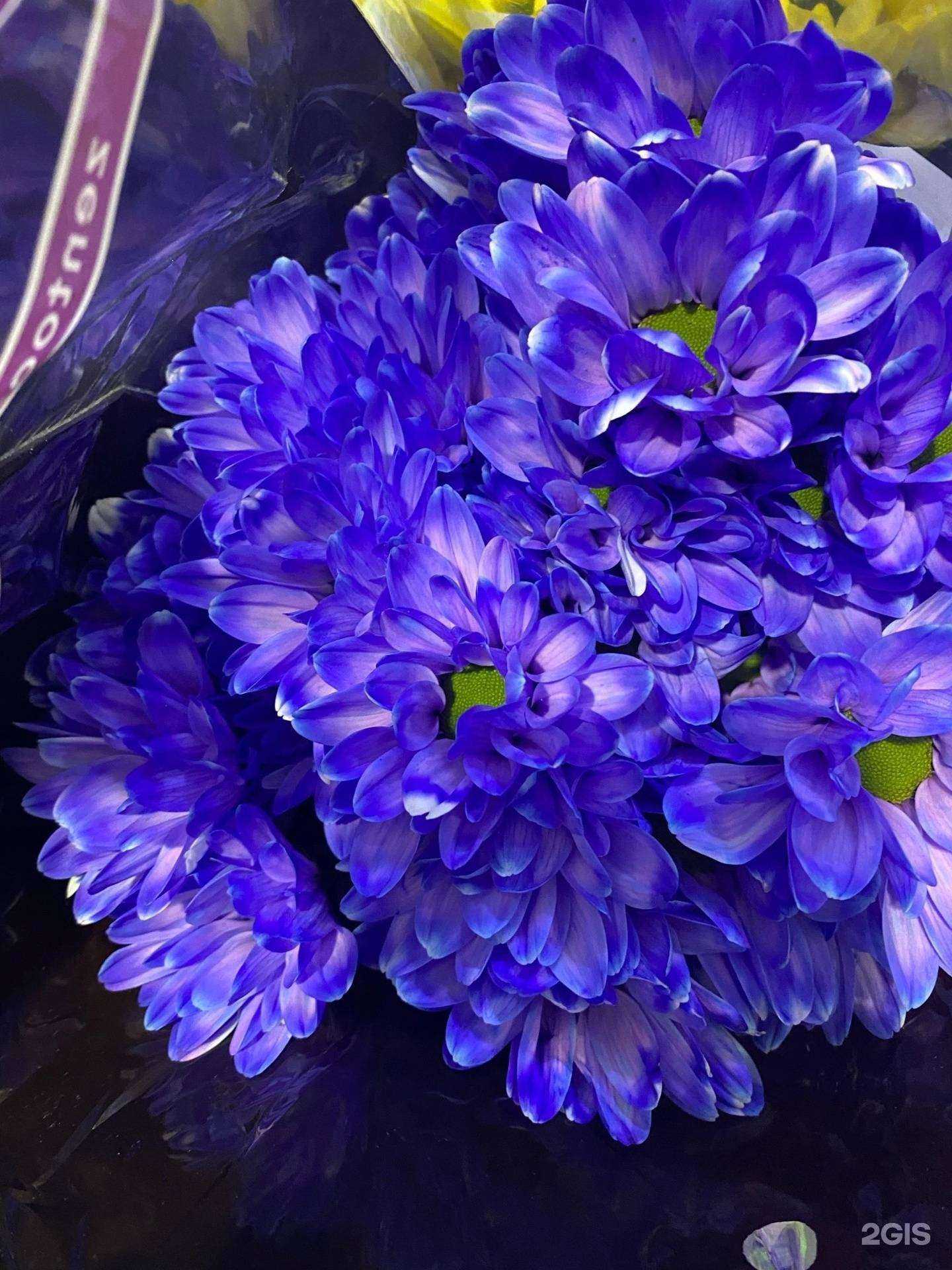 Отзывы на компанию Салон цветов и удобрений в г. Нижний Новгород c фото