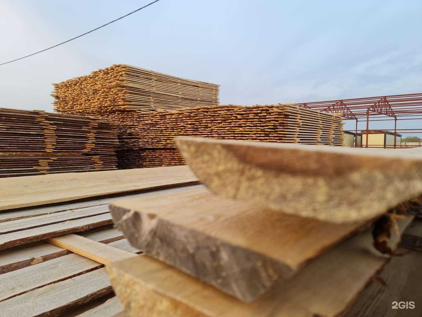 Отзывы на компанию Лесник55 в г. Омск c фото