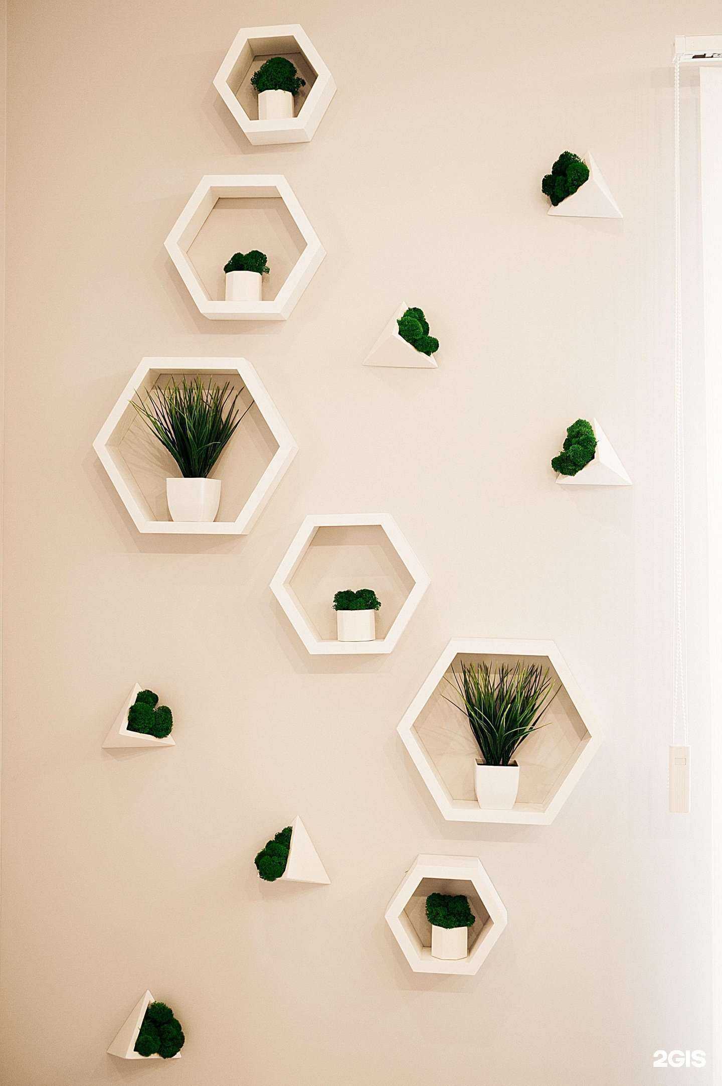 Отзывы на компанию EcoDent Studio в Ростове-на-Дону c фото