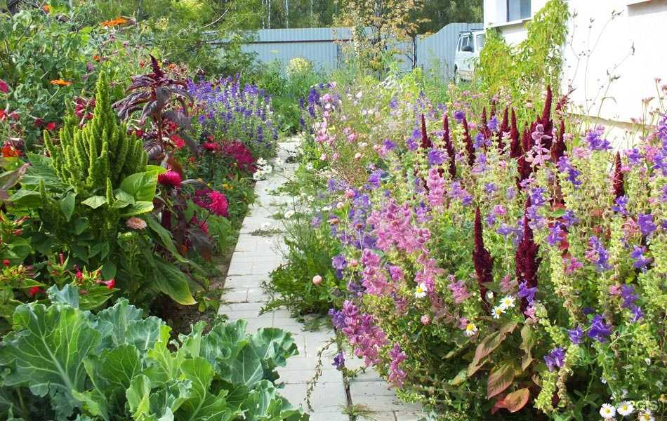 Отзывы на компанию Онегин в г. Плес c фото