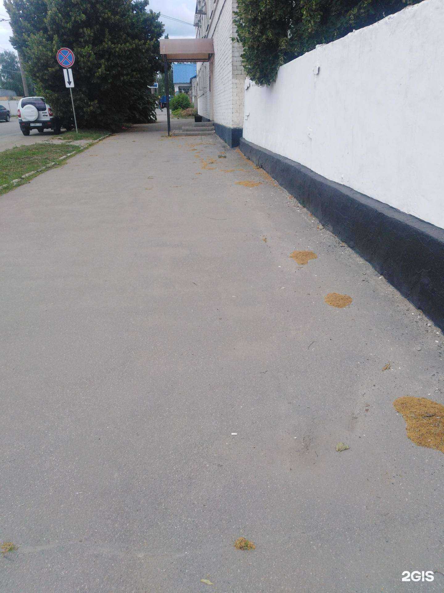 Отзывы на компанию Дирекция городских дорог в Тамбове c фото