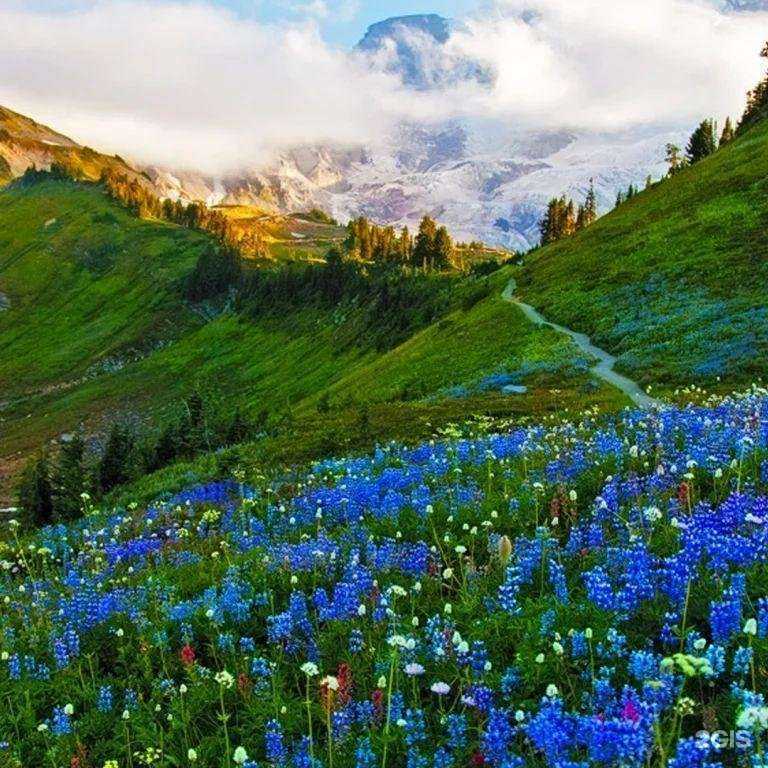 Отзывы на компанию Кругосветка в г. Петропавловск-Камчатский c фото