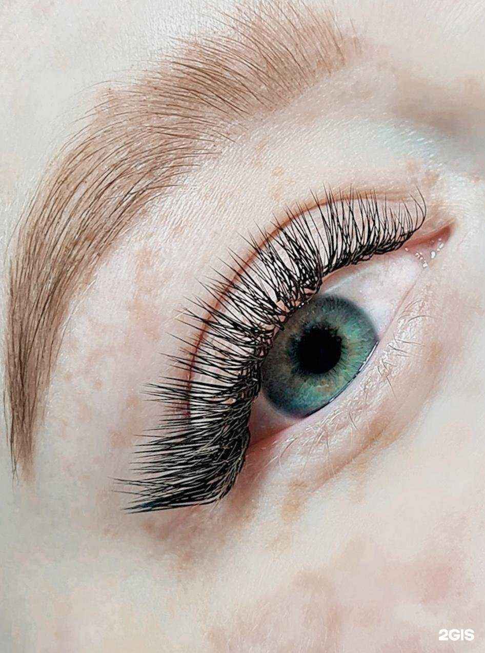 Отзывы на компанию Лиса Studio в Сургуте c фото