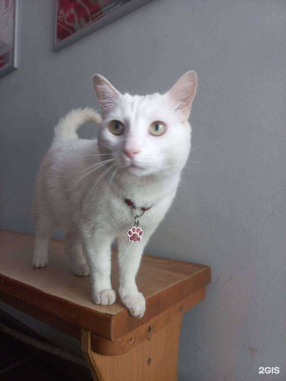 Отзывы на компанию Ваш Дом в Комсомольске-на-Амуре c фото