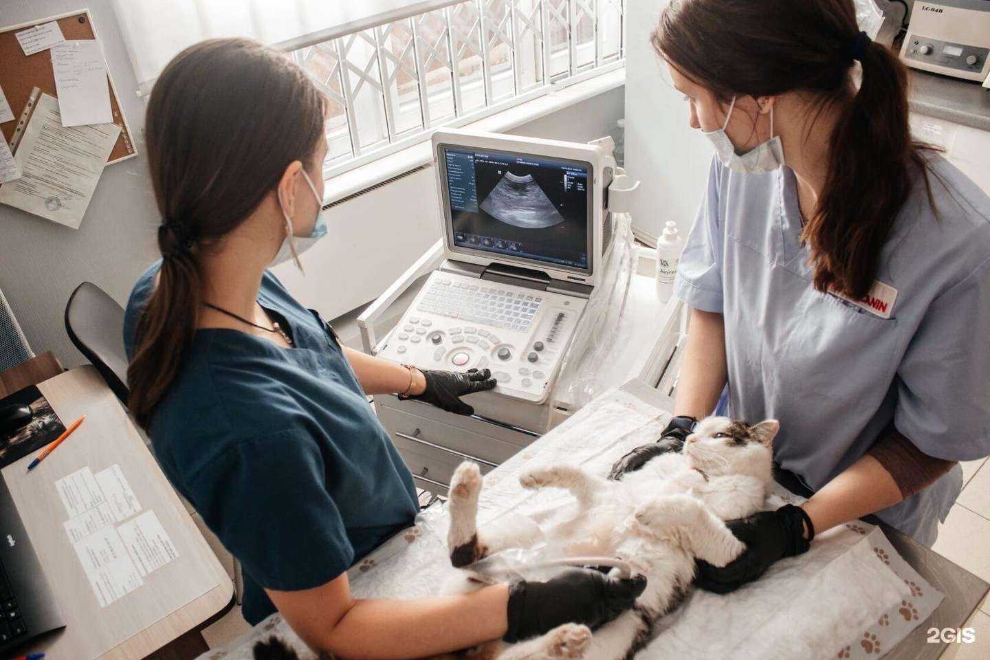 Отзывы на компанию ИнТерра в Новосибирске c фото