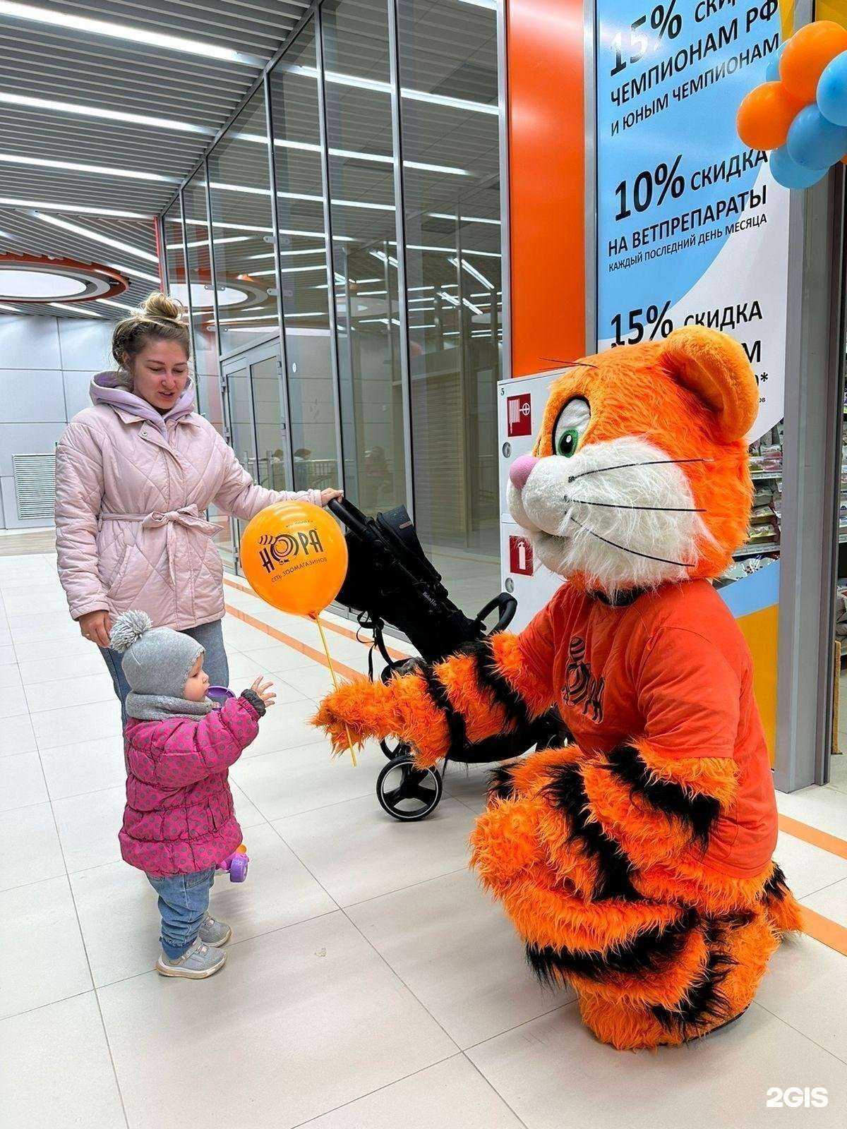 Отзывы на компанию Нора в г. Воронеж c фото