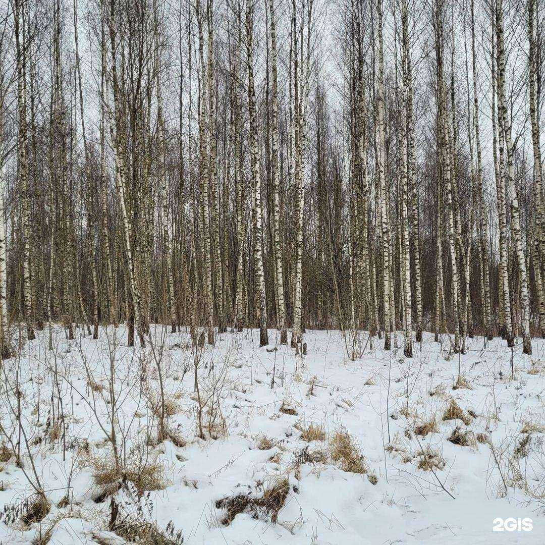 Отзывы на компанию НейроПрактика в г. Смоленск c фото