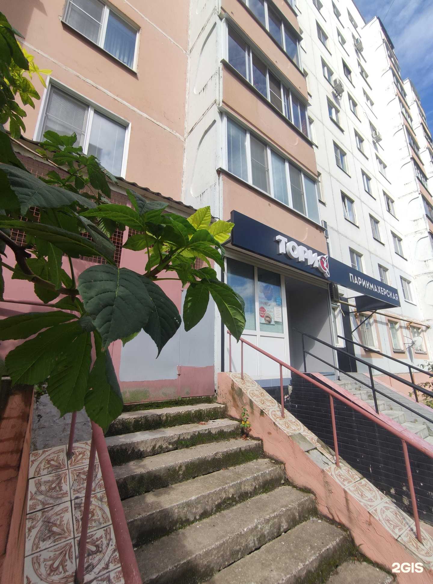 Отзывы на компанию Тори в г. Ковров c фото