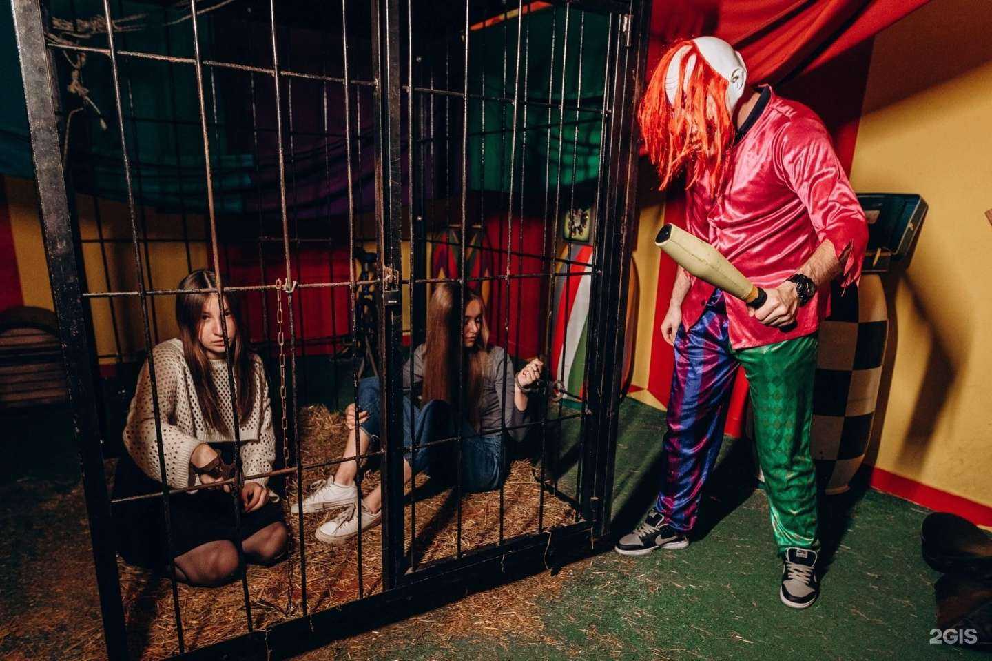 Отзывы на компанию QUEST ADRENALINE в г. Смоленск c фото