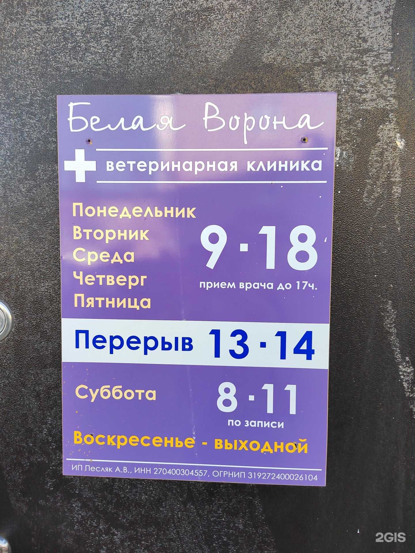 Отзывы на компанию Белая ворона в г. Советская Гавань c фото