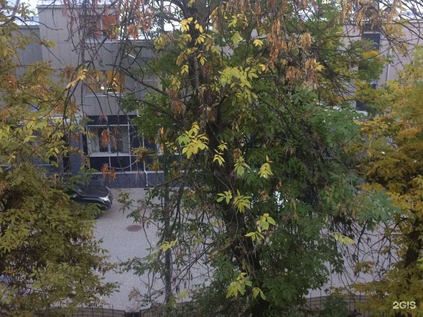 Отзывы на компанию 5Pi studio в г. Рязань c фото