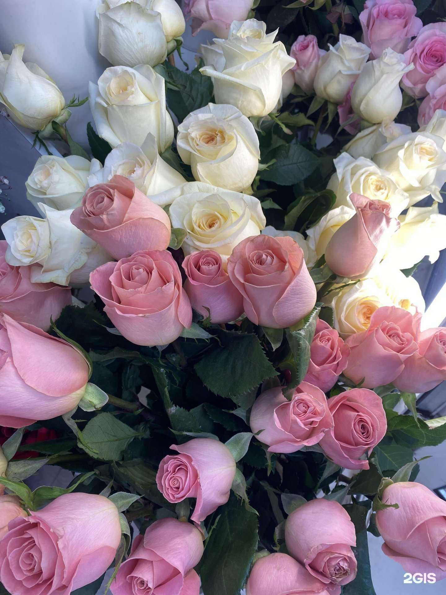 Отзывы на компанию Ф’лореаль в Топках c фото